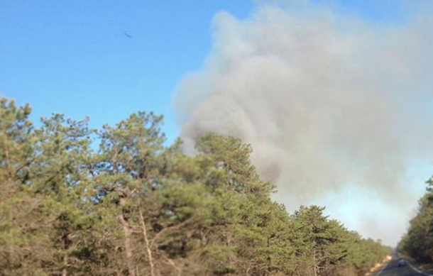  The smoke plume of the second Berkeley wildfire last Thursday afternoon. (Photo: Sam Fennell)) 
