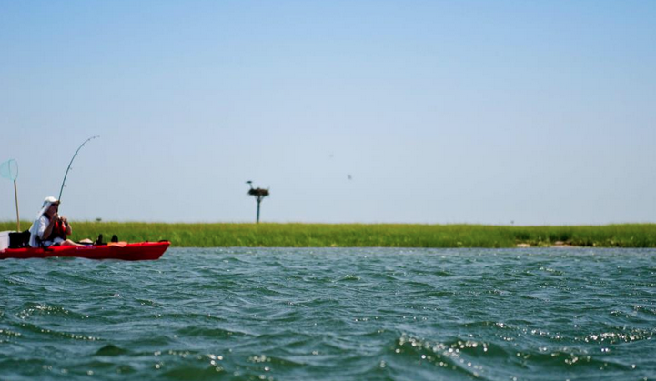  A fisherman enjoying a sunny day at Island Beach State Park in August 2010. (Photo: Jennifer Marie Antoinette) 