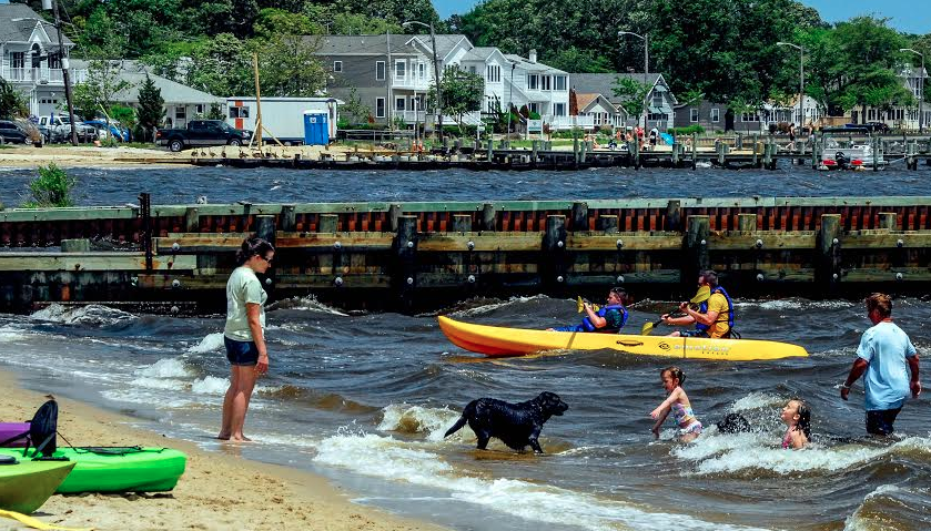  A scene from the 2013 Barnegat Bay Festival. (Image courtesy of The Riverside Signal) 
