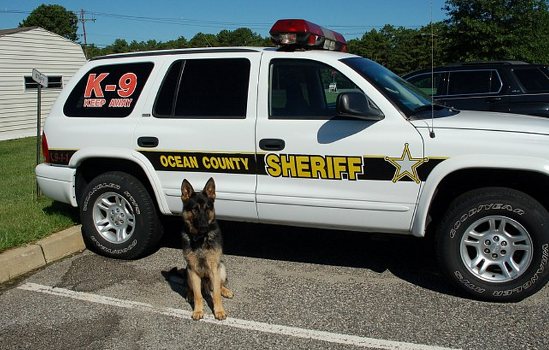 Image courtesy of the Ocean County Sheriff's Department.  