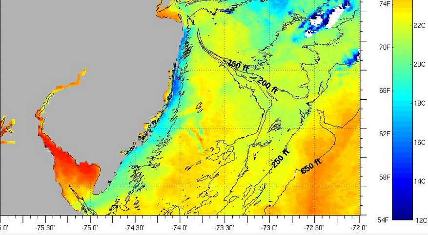  Sea surface temperatures are below normal due to upwelling, experts say. (Image: Rutgers Coastal Ocean Observation Lab) 