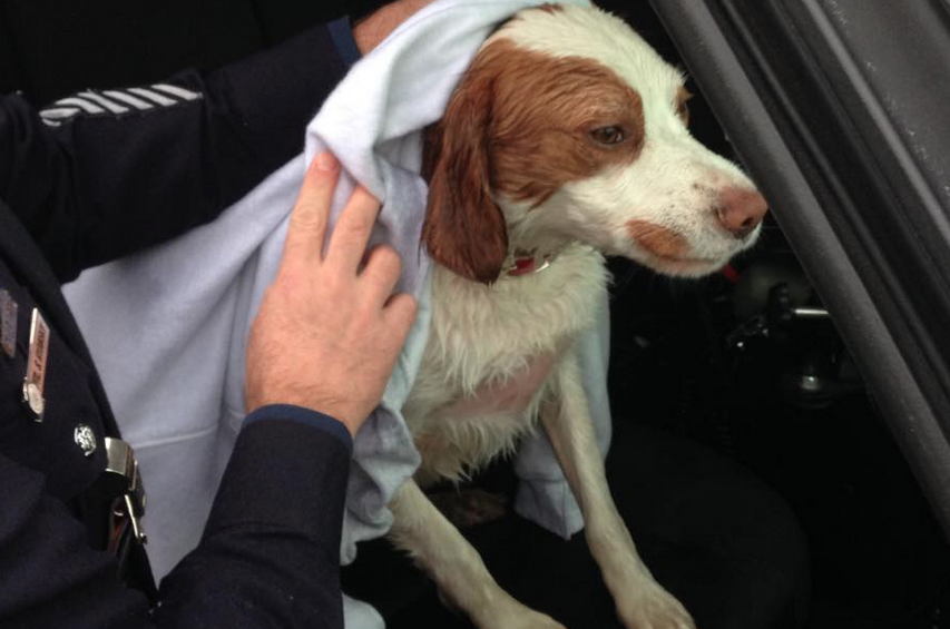  Hunter warming up after being rescued from a lake in Wall Sunday afternoon. (Photo courtesy of South Wall Fire Rescue) 