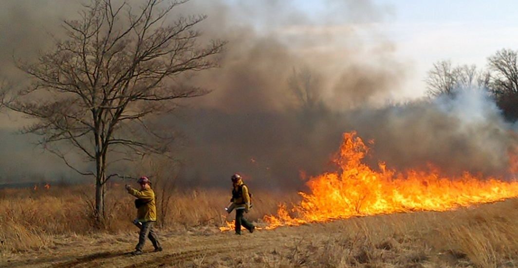  A controlled burn at Monmouth Battlefield in March 2014. (Photo: NJ Forest Fire Service) 