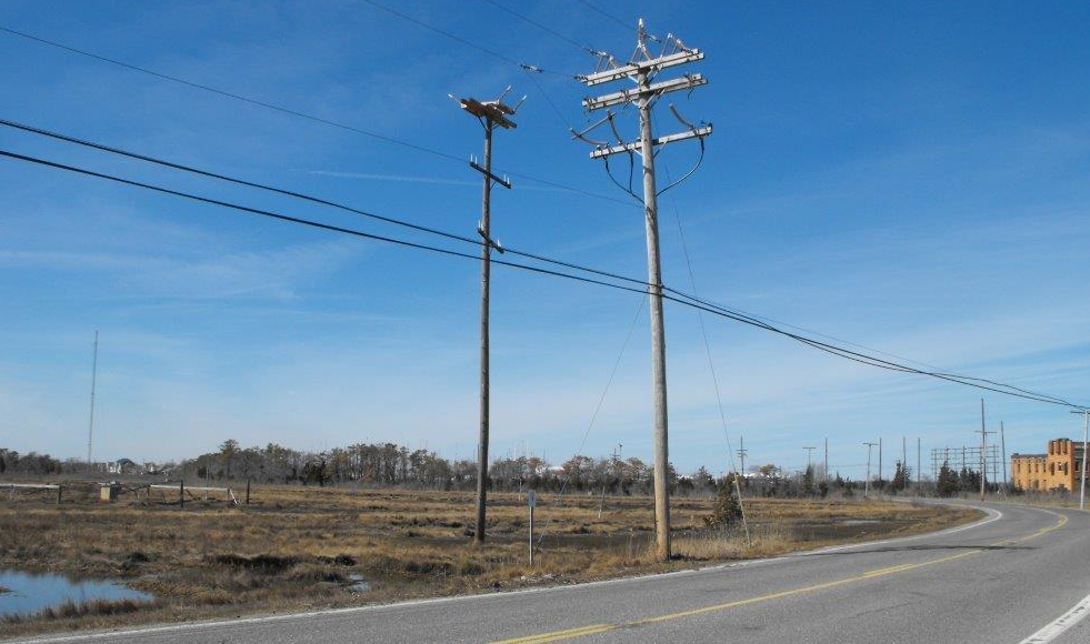  A new pole and nesting platform (left) and original nesting location on an active utility pole (right). (Photo courtesy of JCP&L) 