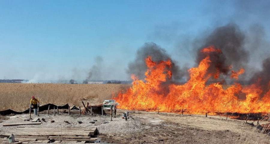  (Photo: NJFFS) 
