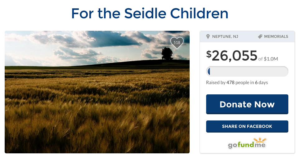 (GoFundMe/screenshot)