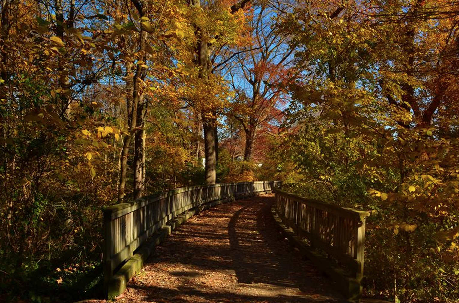  Thompson Park in Middletown. (Photo: JSHN contributor Robyn Leigh) 
