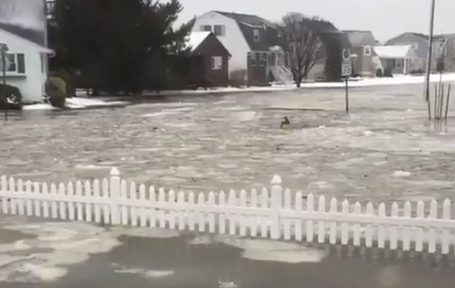  (Image: Ocean City, N.J. this morning as photographed by Ed Ritti via @dolostone via Twitter) 