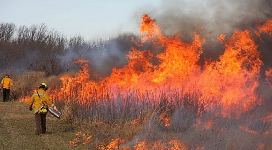 Image: NJFFS Section B10