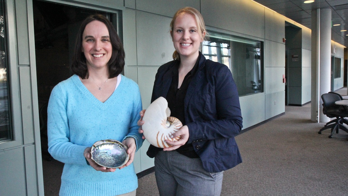 Malacologist Amanda Lawless (left) and Teagan Keating show off two of the nearly 10 million specimens in the Academy of Natural Sciences collection. (Kimberley Paynter/for The Pulse)