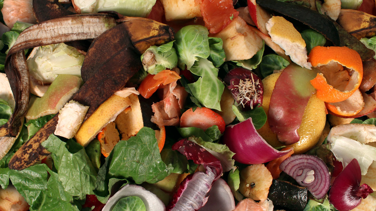fruit and vegetable scraps