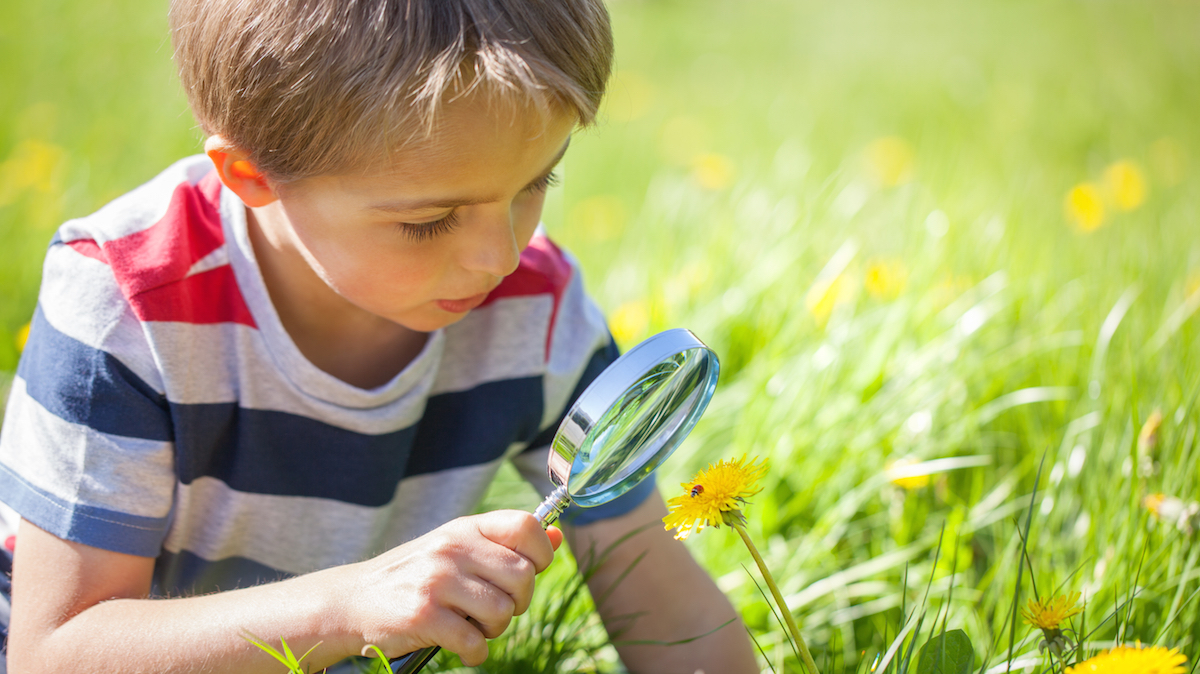 Young boy exploring nature photo via ShutterStock 