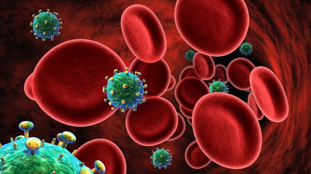 HIV cells infiltrate the bloodstream.(<a href=
