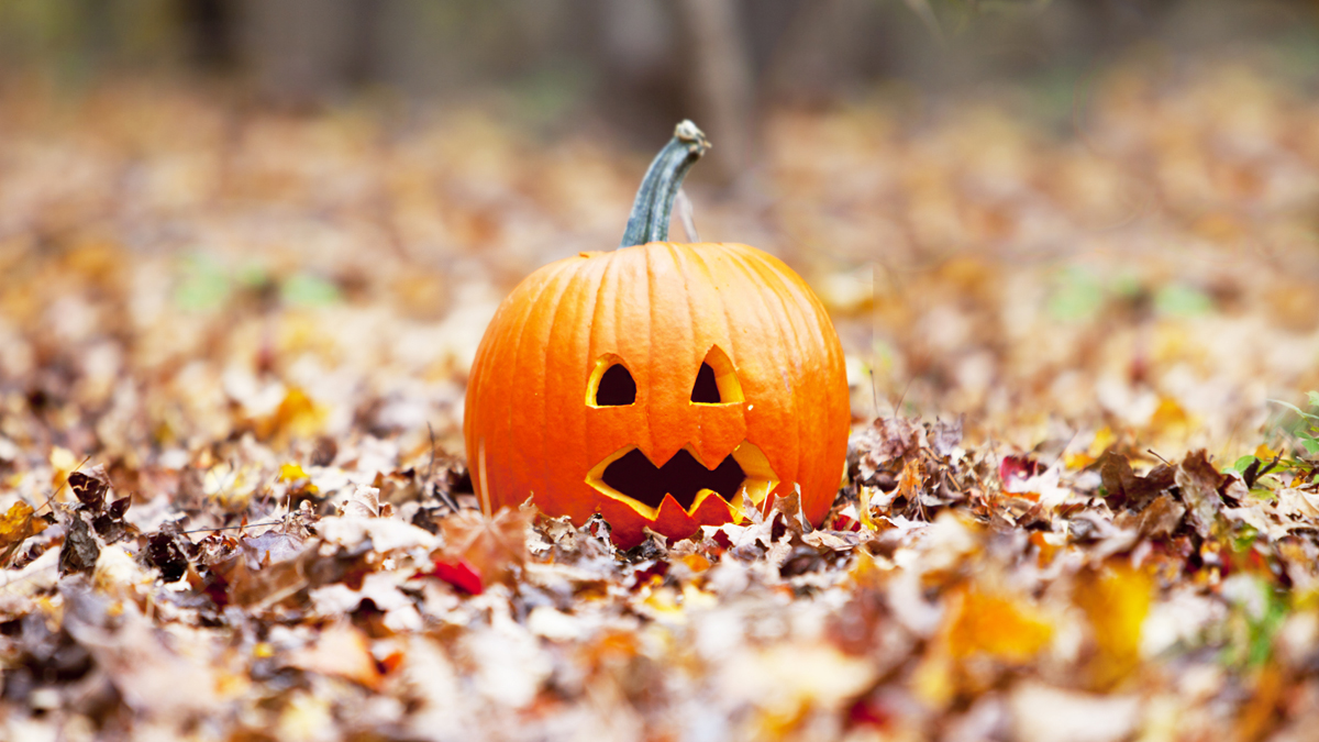  (<a href='http://www.shutterstock.com/pic-112331054/stock-photo-pumpkin-in-autumn-leaves.html'>Jack o'lantern</a> image courtesy of Shutterstock,com.) 