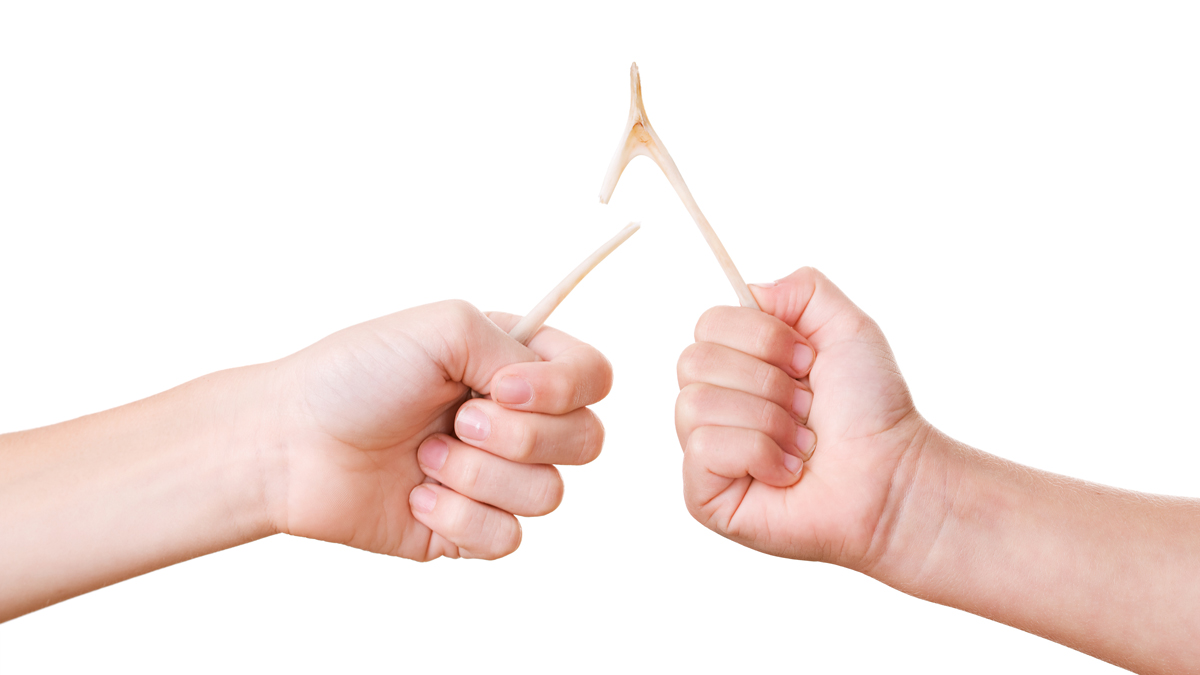  (<a href='http://www.shutterstock.com/pic-217791430/stock-photo-children-breaking-a-turkey-wishbone-on-white-background.html?src=csl_recent_image-1'>Wishbone</a> image courtesy of Shutterstock.com) 