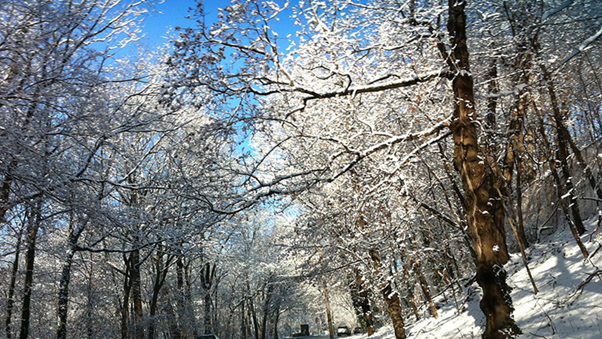  Lower Merion resident Deborah Saldana says she believes two African American men were racially profiled by police while shoveling snow in the Township. (Solomon Jones/ for NewsWorks) 