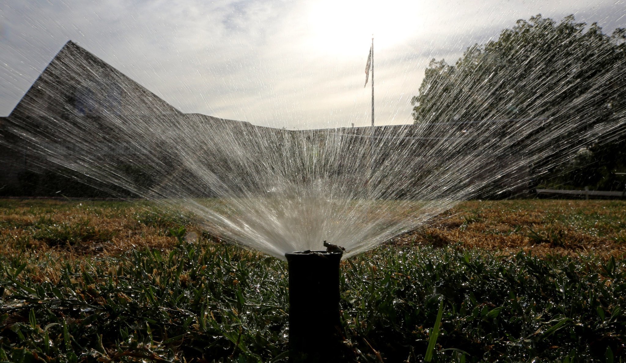 Image: (Rich Pedroncelli/Associated Press)