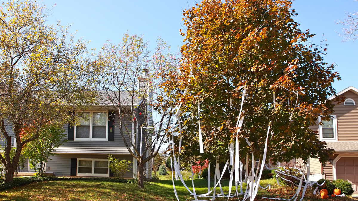  In American cities and suburbs, Halloween used to be an evening for teenagers to make gentle mayhem.(<a href=