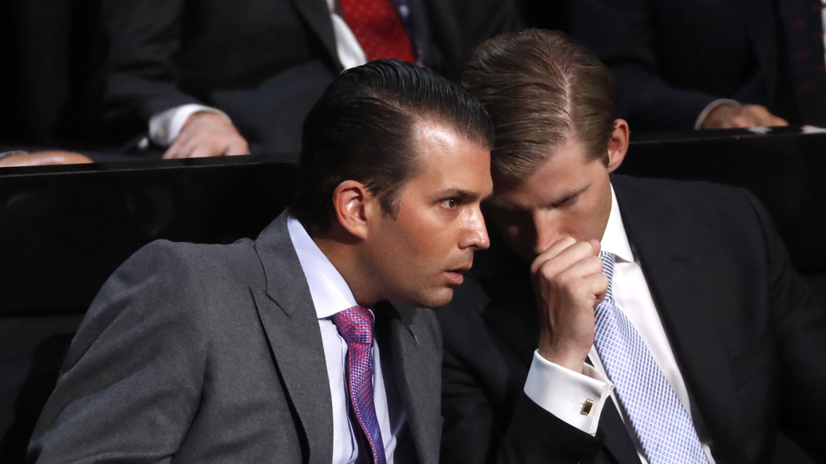 Donald Trump's sons Donald Jr. and Eric