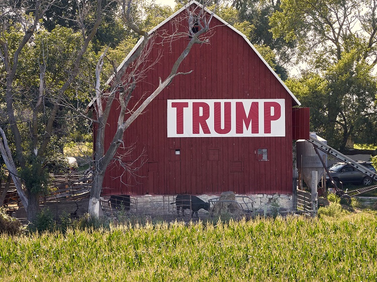 Corn grows in front of a barn carrying a large Trump sign in rural Ashland, Neb., Tuesday, July 24, 2018. The Trump administration announced Tuesday it will provide $12 billion in emergency relief to ease the pain of American farmers slammed by President Donald Trump's escalating trade disputes with China and other countries. (AP Photo/Nati Harnik)
