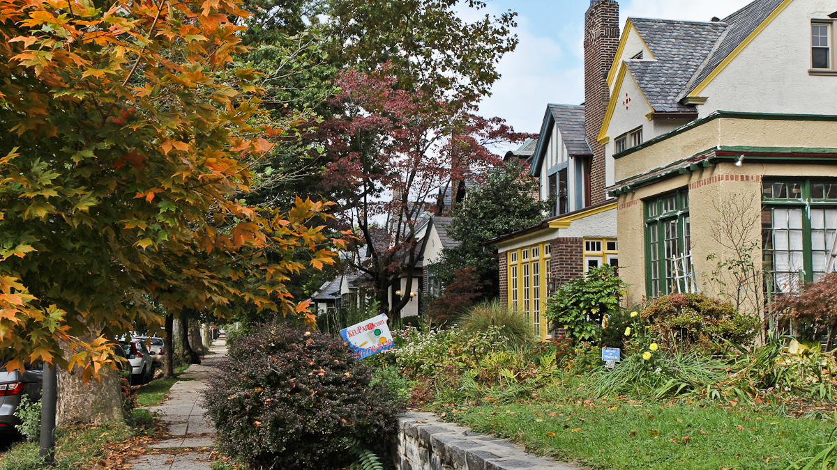 Homes on the 4600 block of Osage Ave. in West Philadelphia. (Kimberly Paynter/WHYY)