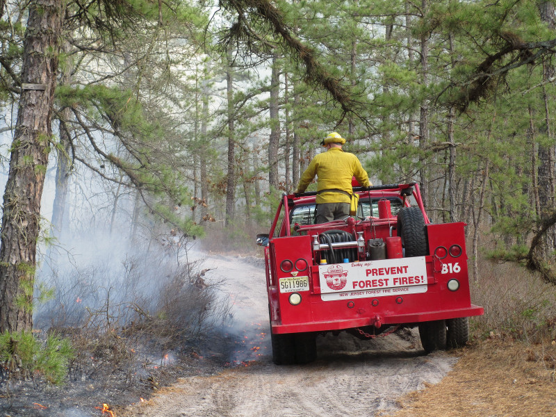  A controlled burn in Wharton State Forest, Burlington County on March 3, 2013. (Image: NJ Forest Fire Service, Section B10)  