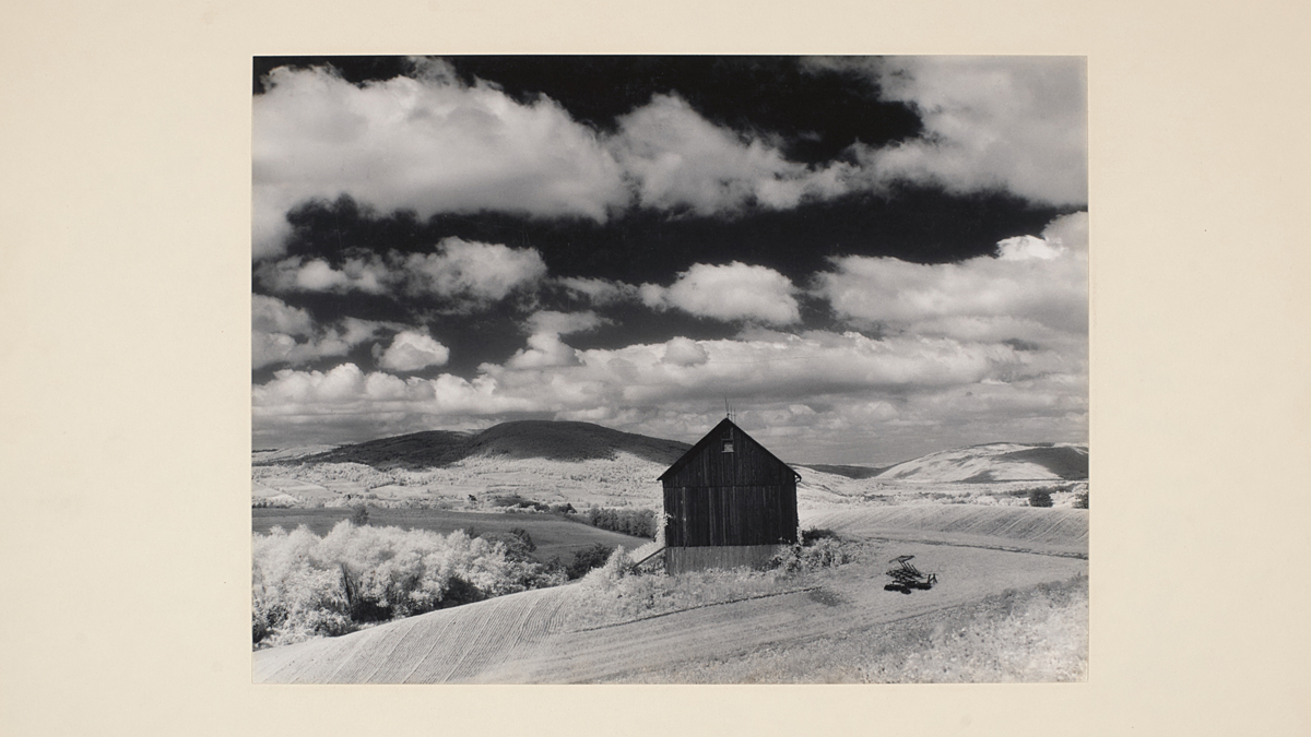 Photograph by Minor White