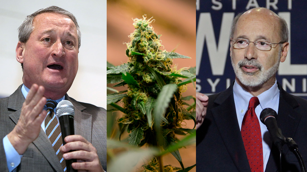  Democratic mayoral candidate Jim Kenney (left); a marijuana plant; and Pennsylvania Governor Tom Wolf (Photos by Stephanie Aaronson/The Next Mayor; Eduardo Verdugo/AP Photo; and Emma Lee/WHYY) 