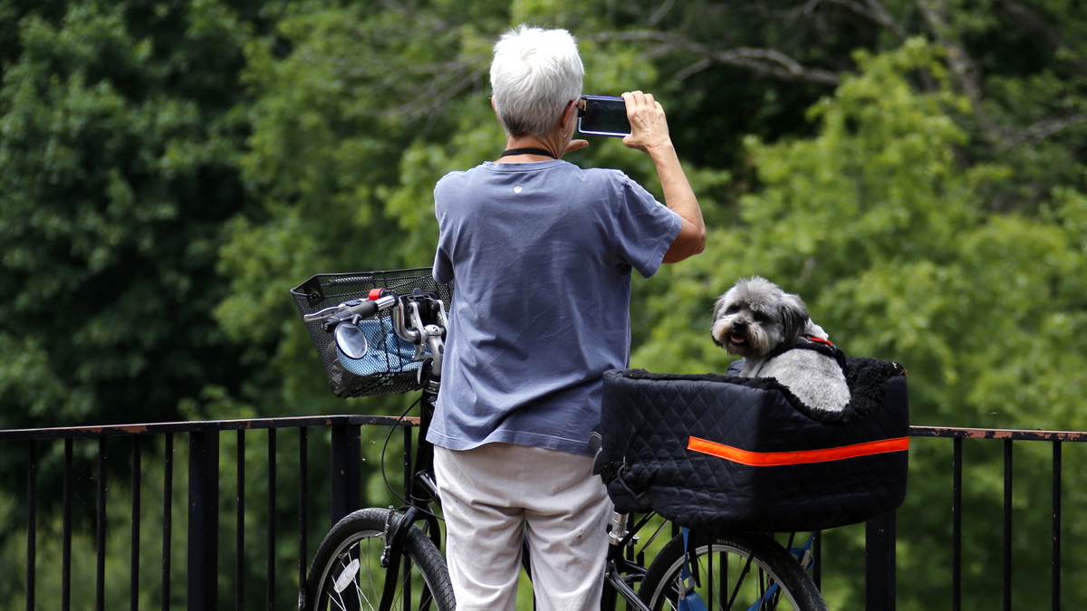  Elaine Burns, of Deer Lake, Pa., takes photos while biking with her dog J.J. Dog in  Ohiopyle State Park in Ohiopyle, Pa. (AP Photo/Gene J. Puskar) 