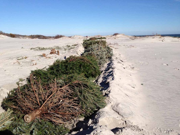 Island Beach State Park (Sandy Levine for WHYY) 