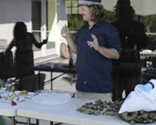 020515oysters