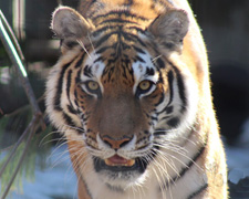 042216zoo