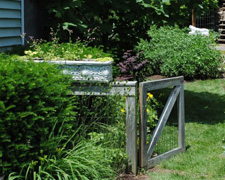 060515garden