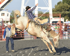 072215fair