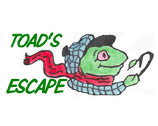 081017toad