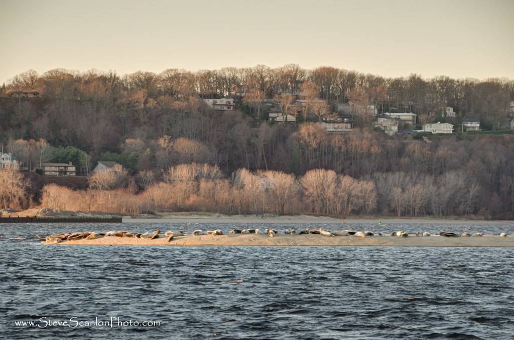 Photo courtesy of Steve Scanlon Photography.