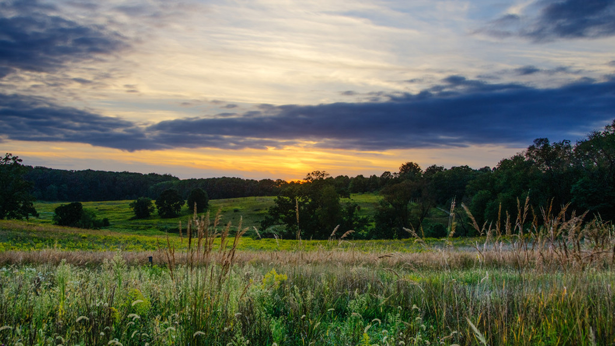 Take in the “Summer Spectacular” at Longwood Gardens