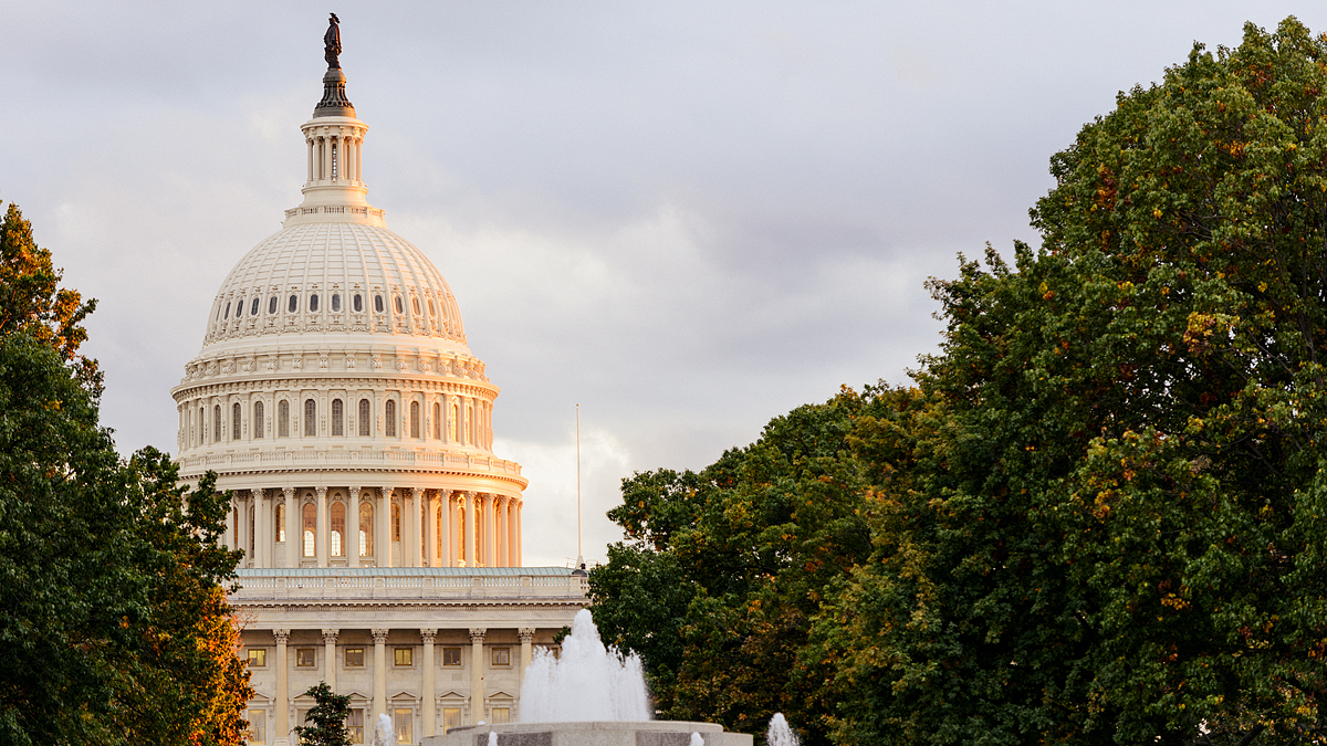  New Jersey voters will elect a new Senator to complete Frank Lautenberg's term.  