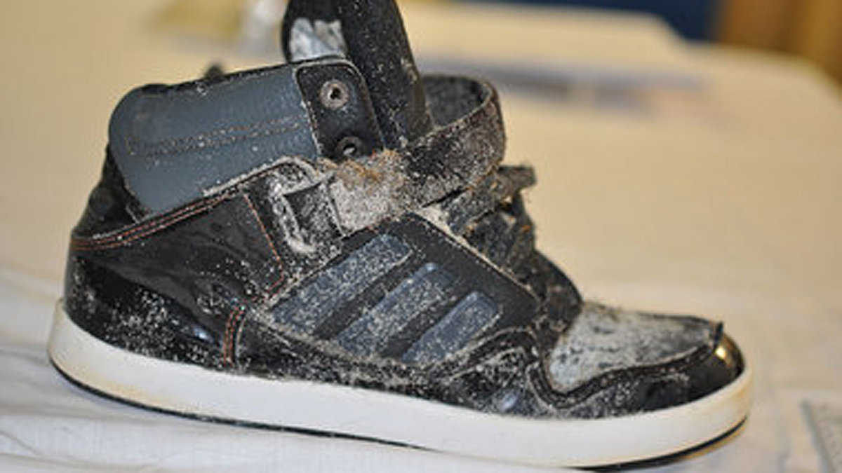  The Southern Regional Medical Examiner's Office determined that the remains are a right foot, inside a black Adidas high top sneaker, size 5 ½. (Photo courtesy of South Jersey Times) 