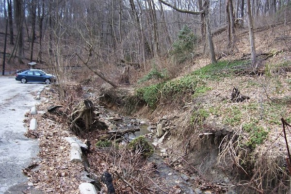  (Photo courtesy of Friends of the Wissahickon) 