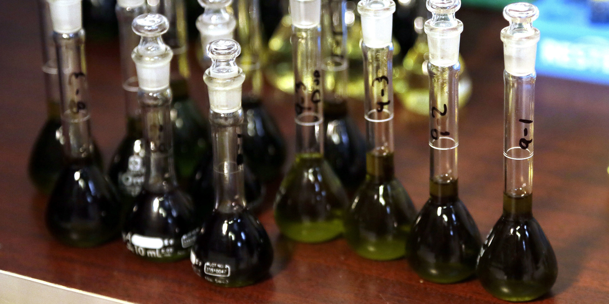 Gov. Tom Wolf has designated eight schools in Pennsylvania as certified academic clinical research centers to help bulk up the meager federal research on medical marijuana. (AP file photo) 