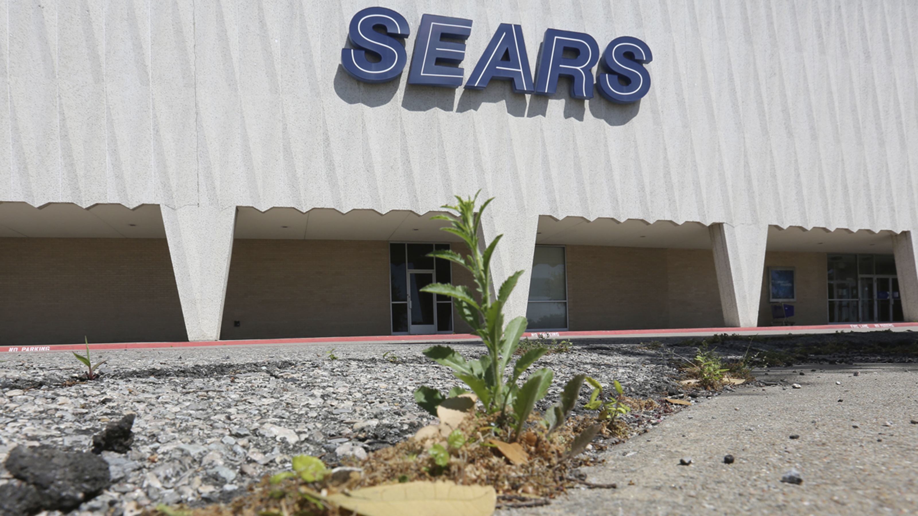  A small weed grows in the parking lot outside a Sears retail store in north Dallas, Thursday, March 23, 2017. (LM Otero/AP Photo) 