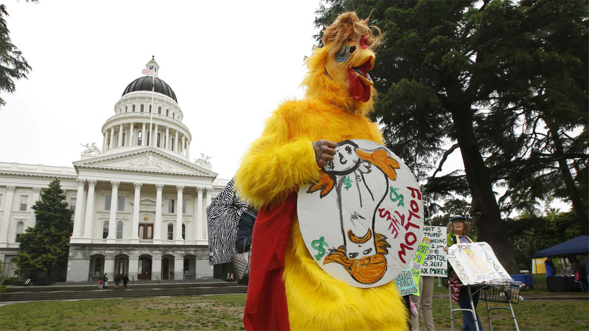  Dressed as the 'Real Chicken Don'Shawn Frye joins others in calling for President Donald Trump to release his tax returns, Wednesday, April 12, 2017, at the Capitol in Sacramento, Calif. Tax March Sacramento activists are planning to join others in a protest on Tax Day, April 15 calling on the the president to release his tax returns. (Rich Pedroncelli/AP Photo) 