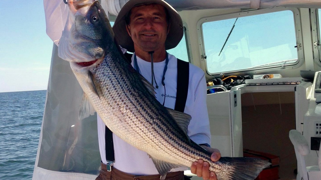  An angler holds up a striped bass. (Image courtesy of Tim Husar) 
