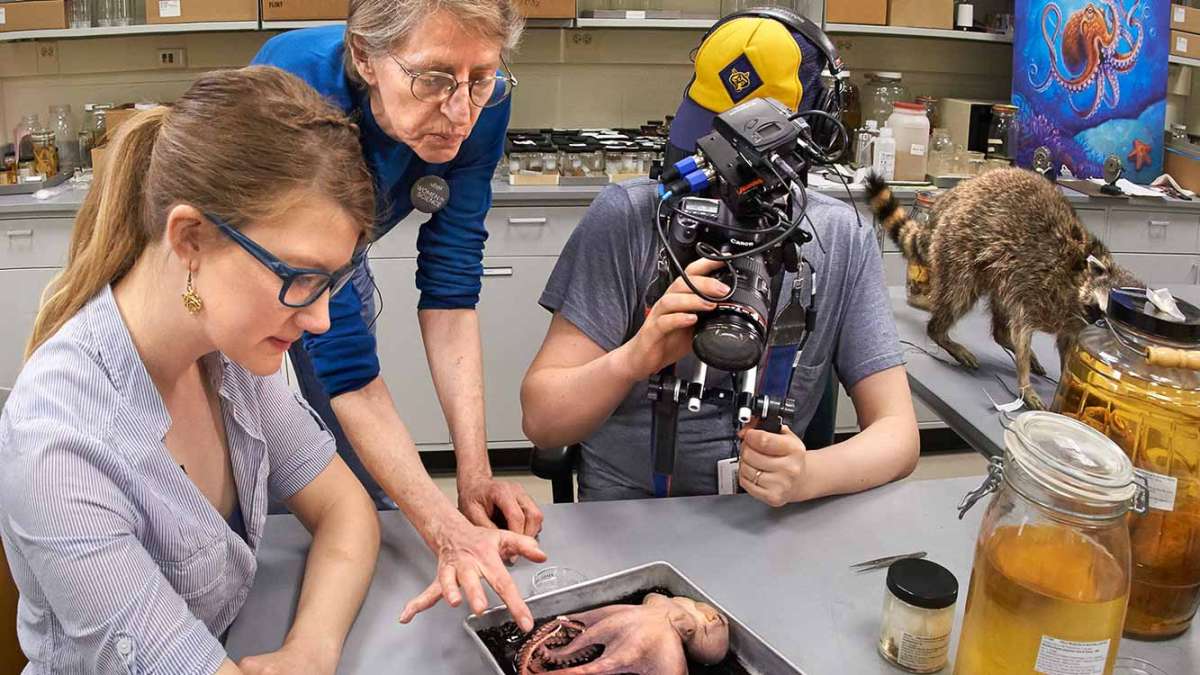 A behind the scenes shot of Emily Graslie working on her web series. (Courtesy of John Weinstein of The Field Museum)