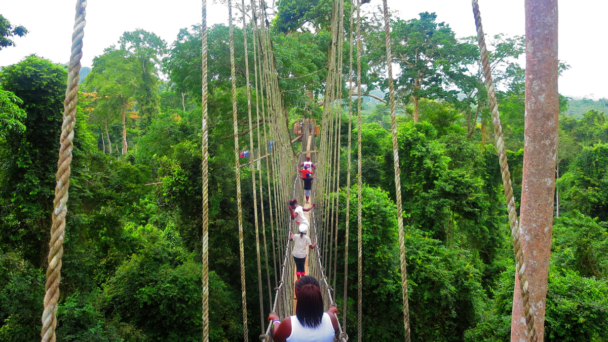  Lehigh University students take a  canopy walk at Kakum National Park during the summer of 2015.  (Miles Davis) 