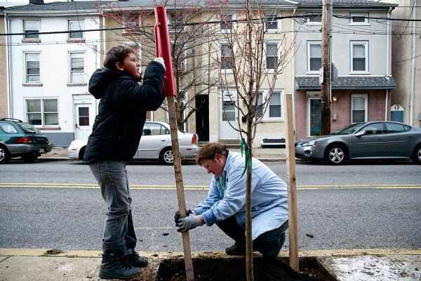 <p><p>The Roxborough-Manayunk-Wissahickon Tree Tenders plant trees . (Bas Slabbers/for NewsWorks)</p></p>

