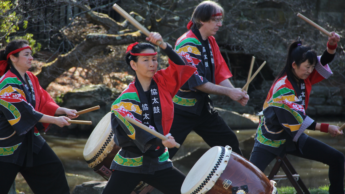  The KyoDaiko drummers perform at the Japanese House and Garden at Fairmount Park to celebrate the launch of the Cherry Blossom Festival. (Emma Lee/for NewsWorks) 