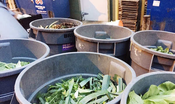 compost2