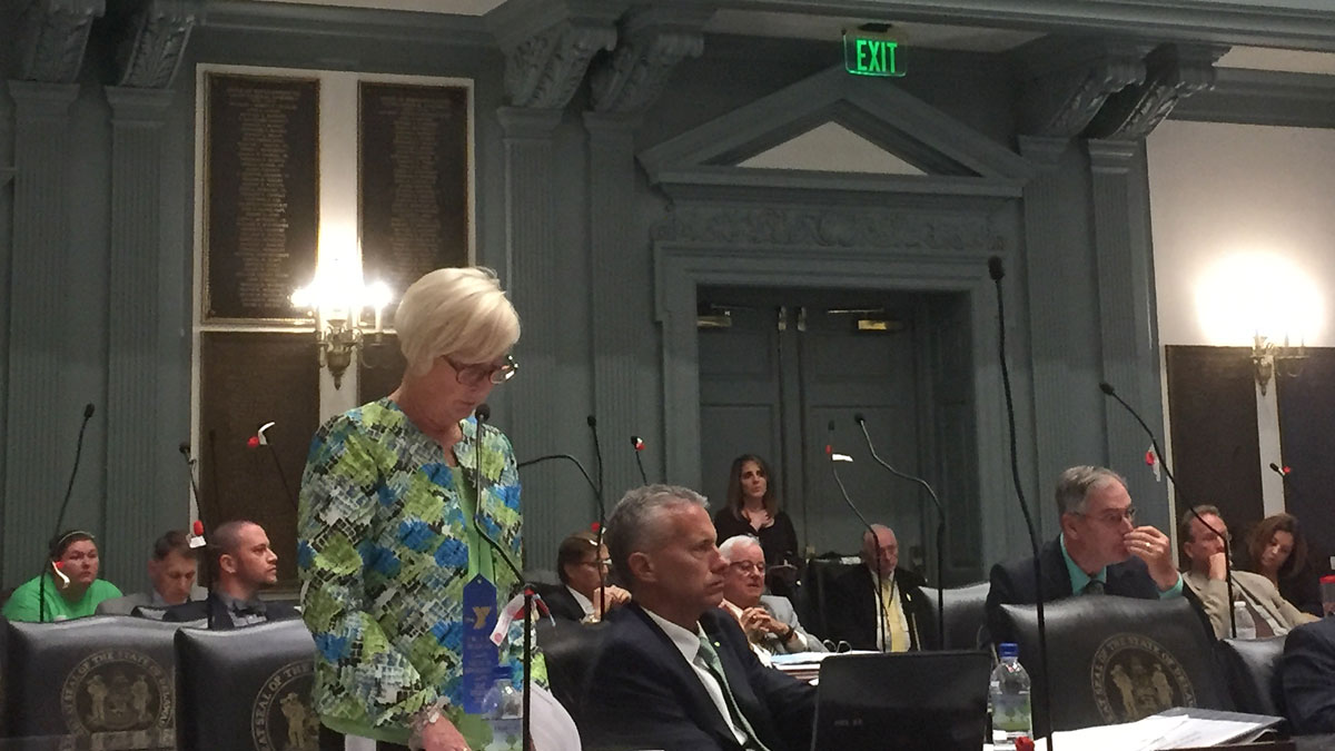  Legislators debate the issue of abortion in Delaware.(Zoe Read/WHYY) 